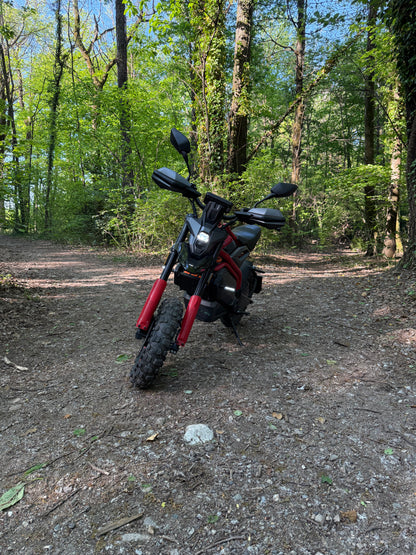 Velocifero Jump 3000W