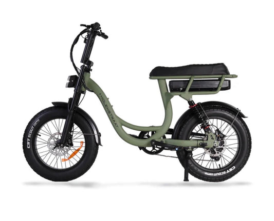 Bi-scooter